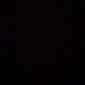 Meet your Posher, Bernadette